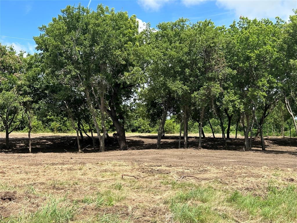 3078 Winding Creek Trail - Photo 9
