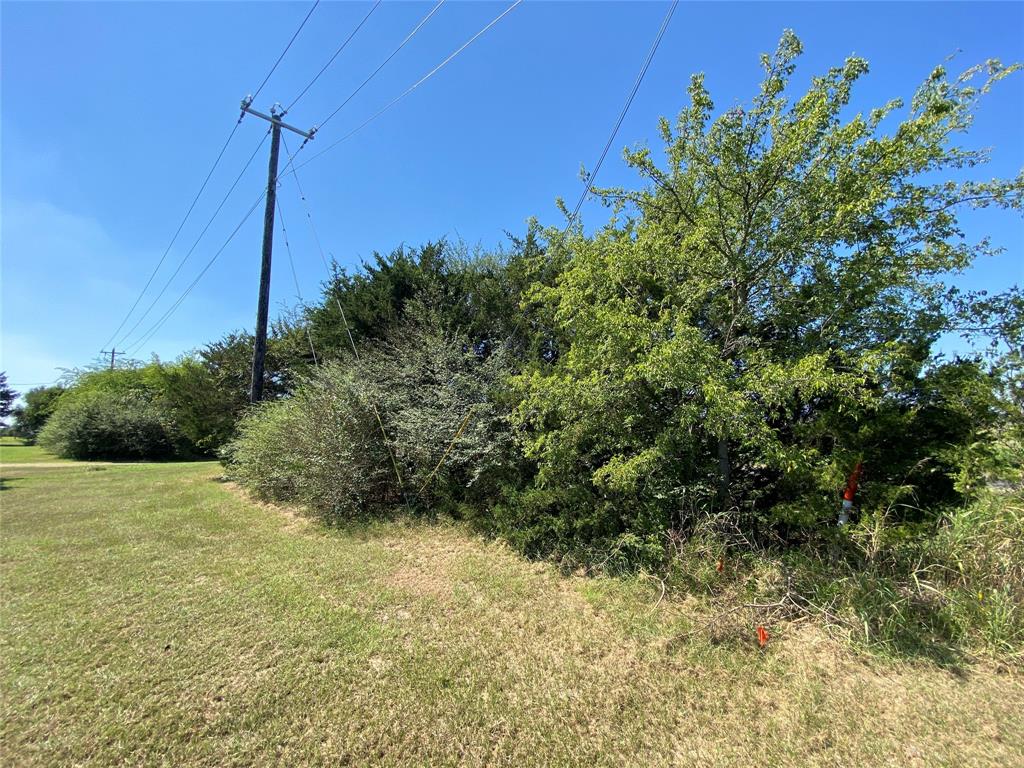 95 Farm Road 69 Highway - Photo 11