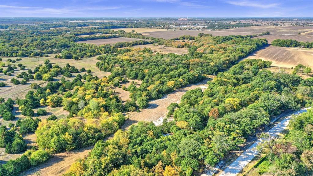 TBD County Road 429 - Photo 1