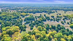 TBD County Road 429 - Photo 22