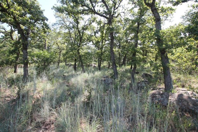 Lot 265 Ridgeline Drive