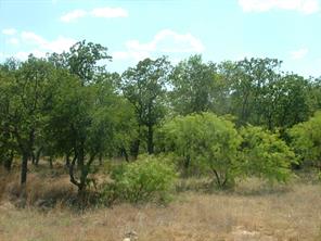 Lot 265 Ridgeline Drive - Photo 11