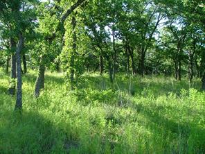 Lot 265 Ridgeline Drive - Photo 12