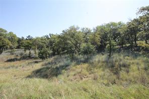 Lot 265 Ridgeline Drive - Photo 3