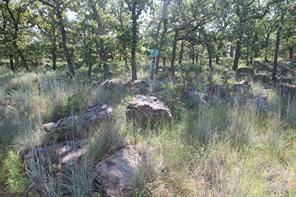 Lot 265 Ridgeline Drive - Photo 4
