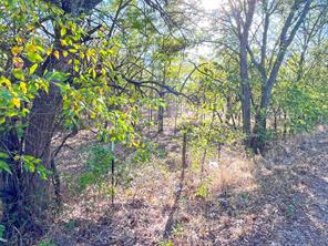 TBD HWY 289 - Photo 10