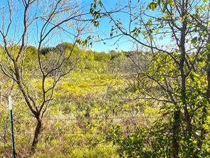 TBD HWY 289 - Photo 11
