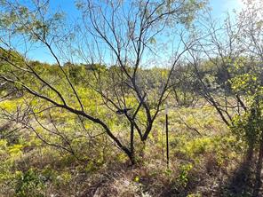 TBD HWY 289 - Photo 12