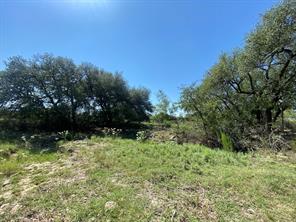 TBD State Highway 16 S - Photo 5