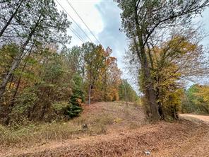 0 CR 1651 - Photo 11