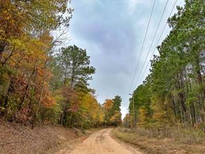 0 CR 1651 - Photo 13