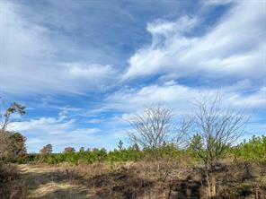 0 CR 3201 - Photo 7