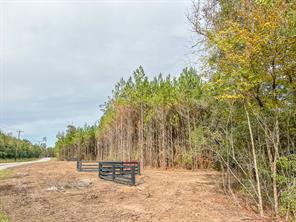 020 CR 2307 - Photo 12