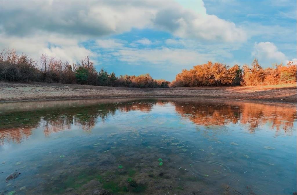 TBD County Road 275 - Photo 1