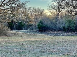 TBD County Road 275 - Photo 4