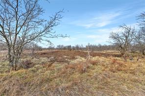 TBD Southmayd Road - Photo 26