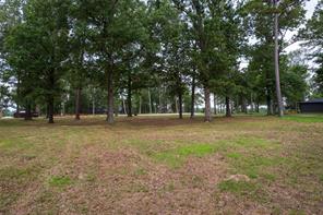 Lot 6 Eagles Nest Circle - Photo 4