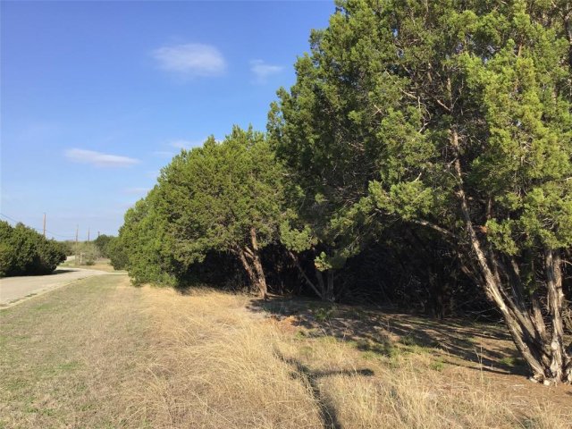 29084 Cedar Hill Dr & Timberwood Drive