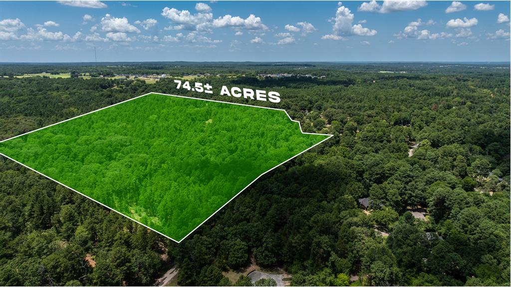 000 County Road 434 - Photo 1
