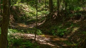 000 County Road 434 - Photo 10