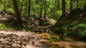 000 County Road 434 - Photo 11