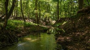 000 County Road 434 - Photo 12