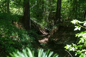 000 County Road 434 - Photo 13