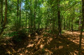 000 County Road 434 - Photo 14