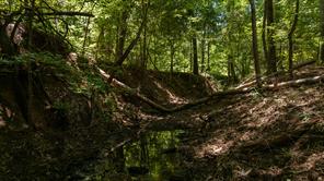 000 County Road 434 - Photo 15