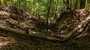 000 County Road 434 - Photo 17