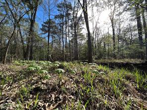 000 County Road 434 - Photo 18