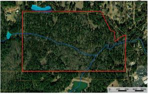 000 County Road 434 - Photo 2