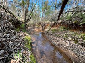 000 County Road 434 - Photo 20