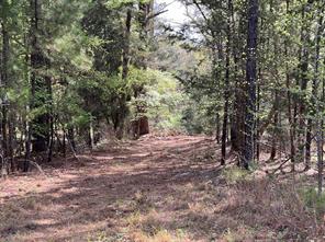000 County Road 434 - Photo 23