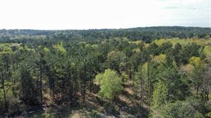 000 County Road 434 - Photo 25