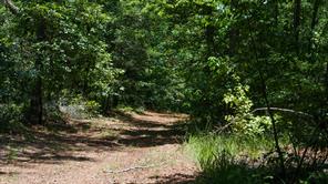 000 County Road 434 - Photo 3