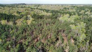 000 County Road 434 - Photo 36