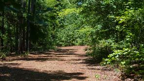 000 County Road 434 - Photo 4