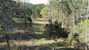 000 County Road 434 - Photo 5