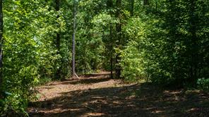 000 County Road 434 - Photo 6