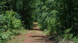 000 County Road 434 - Photo 7