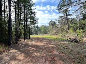 000 County Road 434 - Photo 8