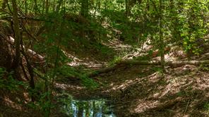 000 County Road 434 - Photo 9