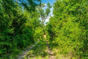 TBD County Road 175 - Photo 10