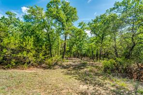 TBD County Road 175 - Photo 11