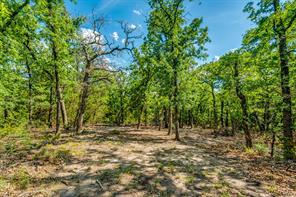 TBD County Road 175 - Photo 12