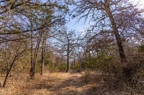TBD County Road 175 - Photo 13