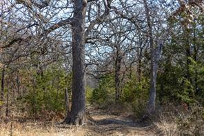 TBD County Road 175 - Photo 14