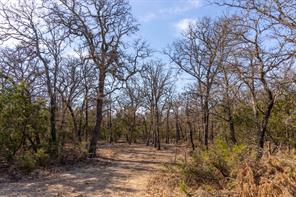 TBD County Road 175 - Photo 15