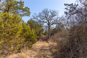 TBD County Road 175 - Photo 16